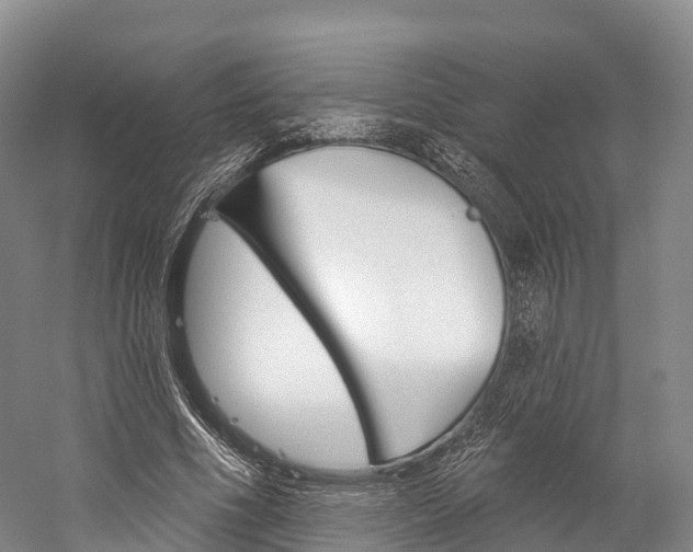 X0000060270586200510281037