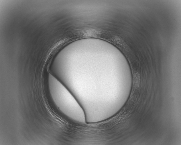X0000060270587200510281037