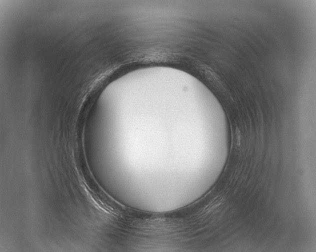 X0000060270588200510281037