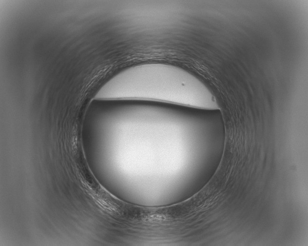 X0000060270593200510281037