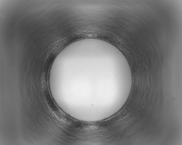 X0000060270594200510281037