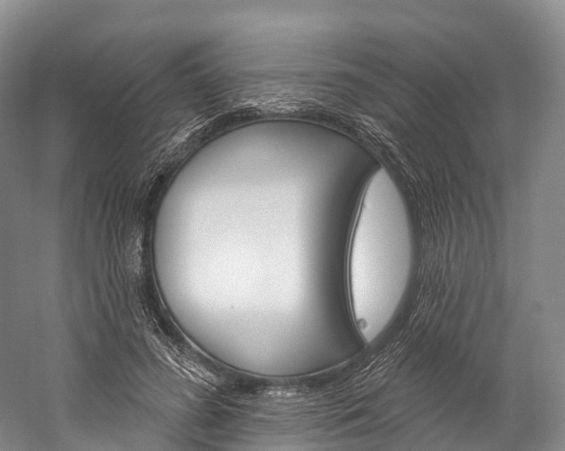 X0000060270596200510281037