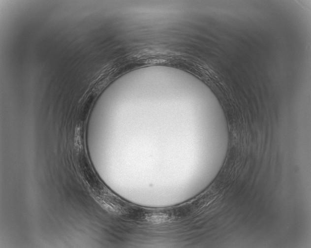 X0000060270598200510281037
