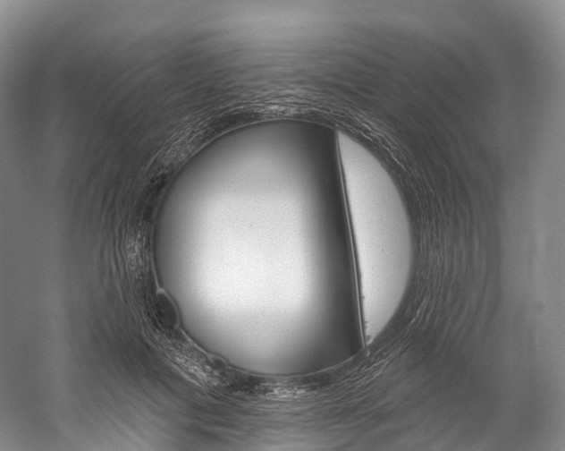 X0000060270601200510281037