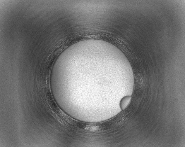 X0000060270602200510281037