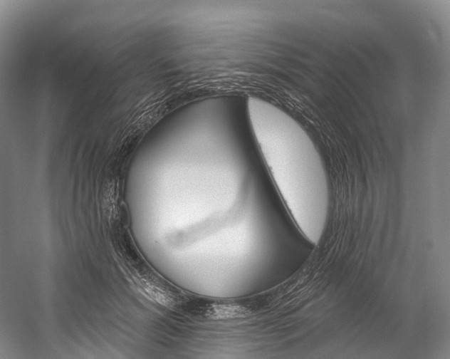X0000060270605200510281037