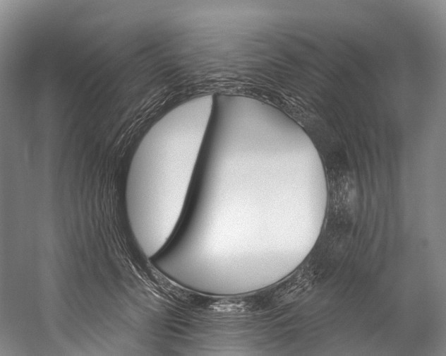 X0000060270606200510281037
