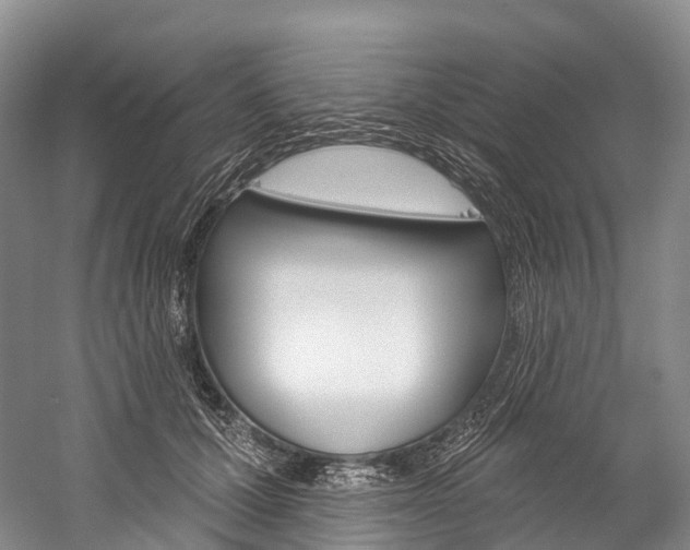 X0000060270607200510281037