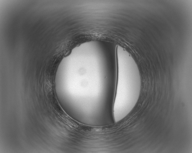 X0000060270613200510281037