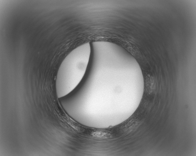 X0000060270614200510281037