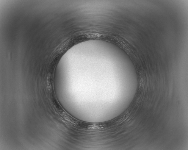 X0000060270616200510281037