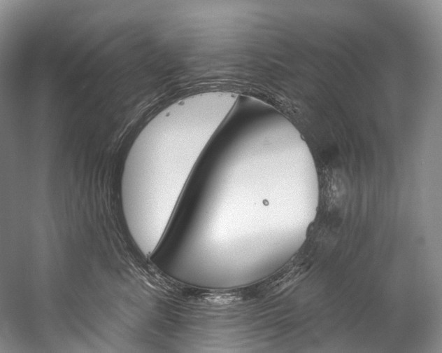 X0000060270619200510281037