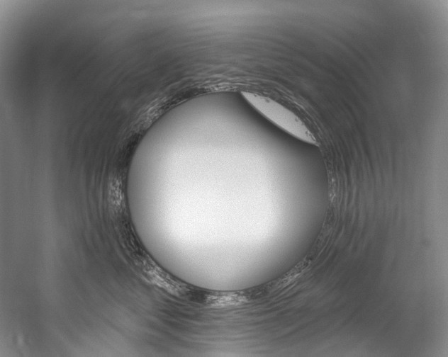 X0000060270621200510281037