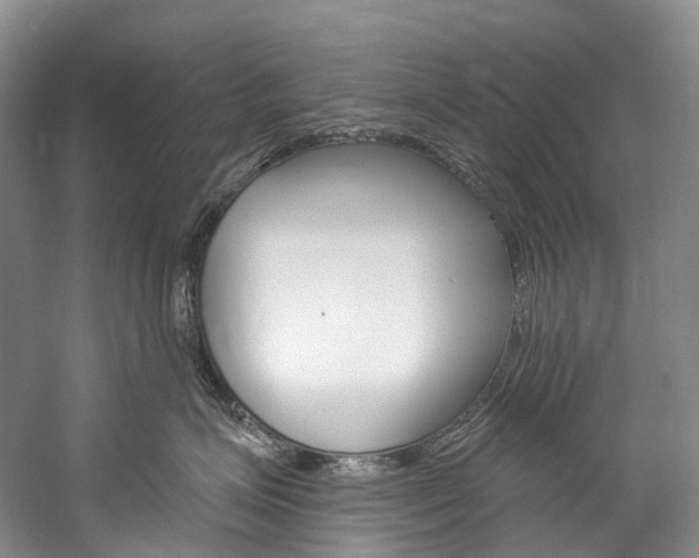 X0000060270623200510281036