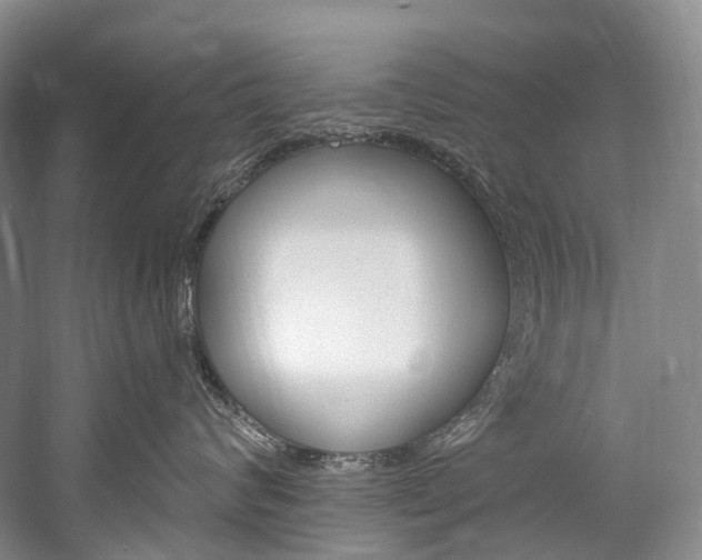 X0000060270624200510281036
