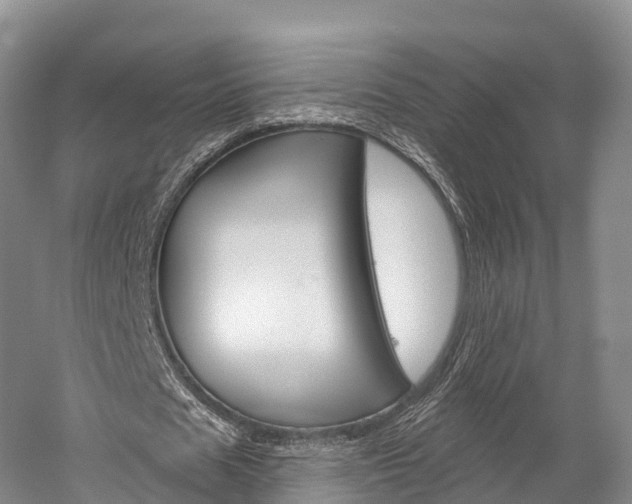 X0000060270625200510281036