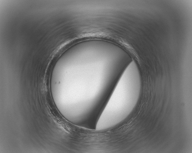 X0000060270628200510281036