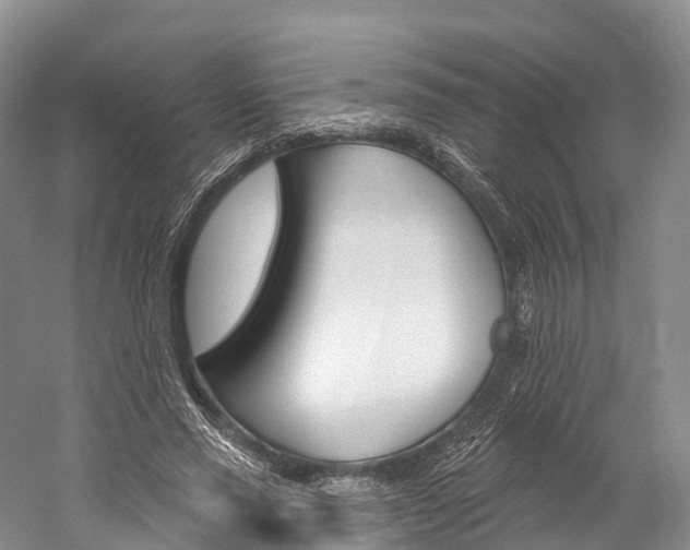 X0000060270637200510281036