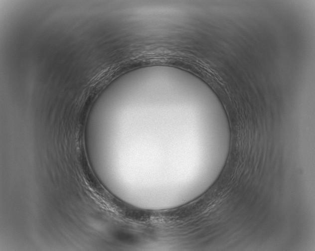 X0000060270641200510281036