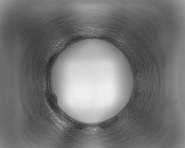 X0000060270642200510281036