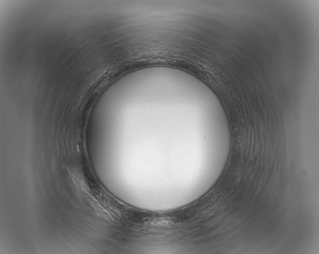 X0000060270643200510281036