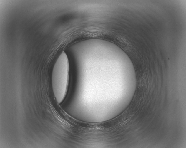 X0000060270646200510281036
