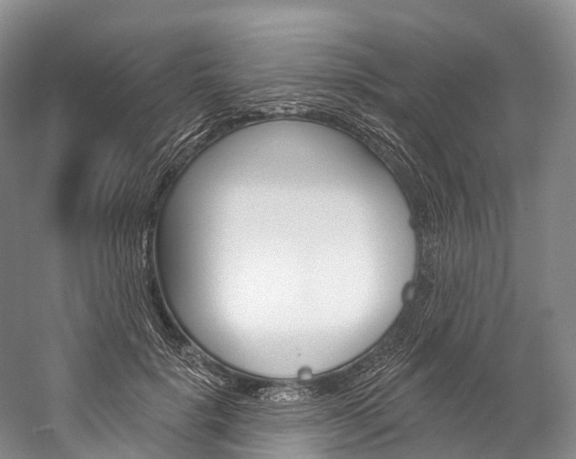 X0000060270652200510281036