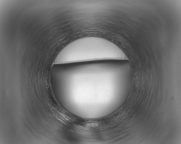 X0000060270653200510281036