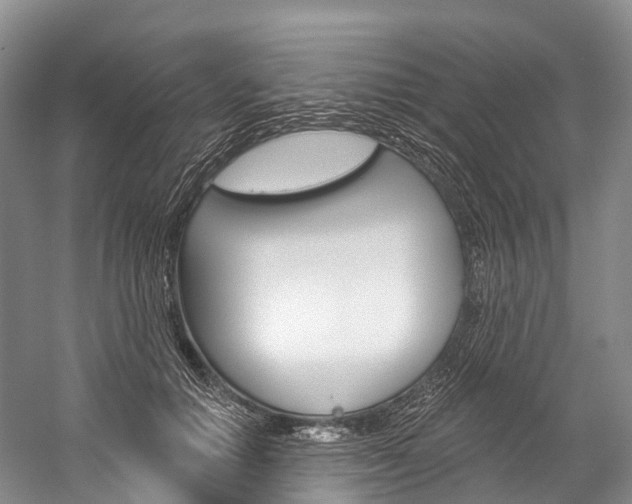 X0000060270654200510281036