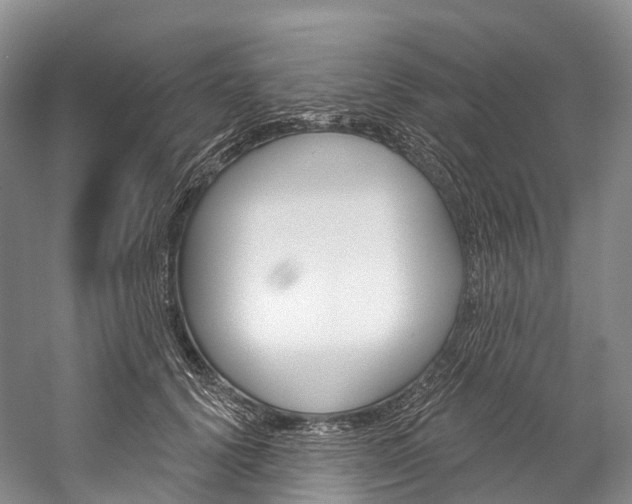 X0000060270656200510281036