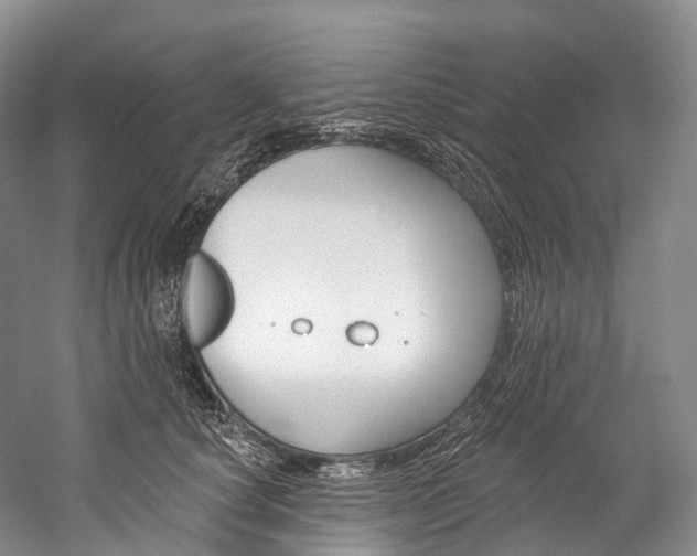 X0000060270660200510281036