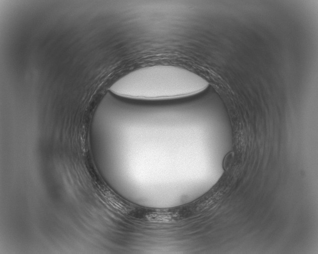 X0000060270661200510281036