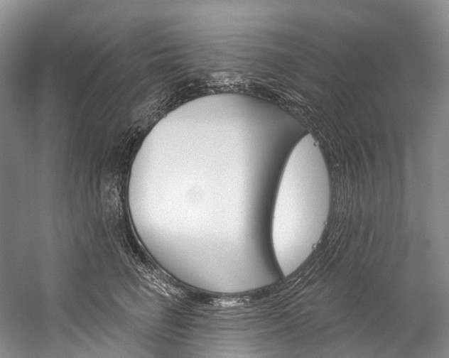 X0000060270662200510281036