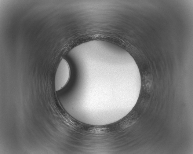 X0000060270664200510281036