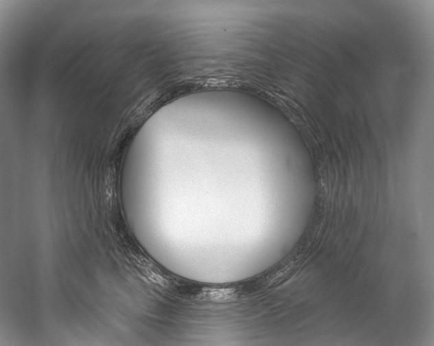 X0000060270665200510281036