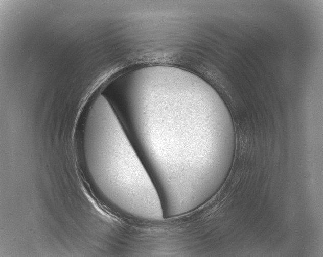 X0000060270674200510281036