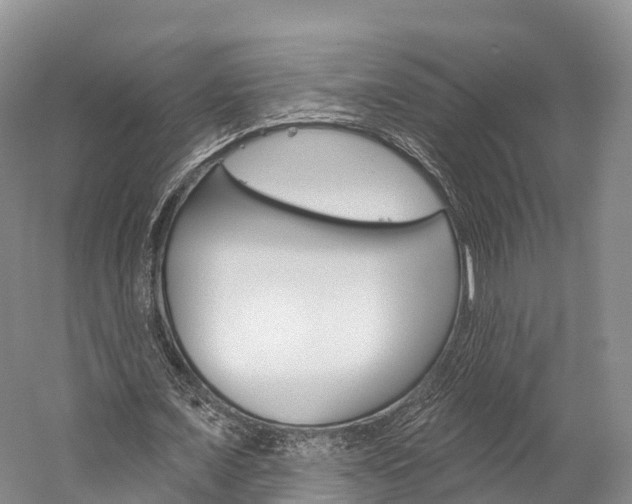 X0000060270675200510281036