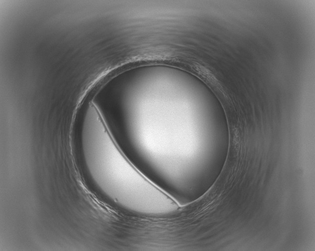 X0000060270676200510281036