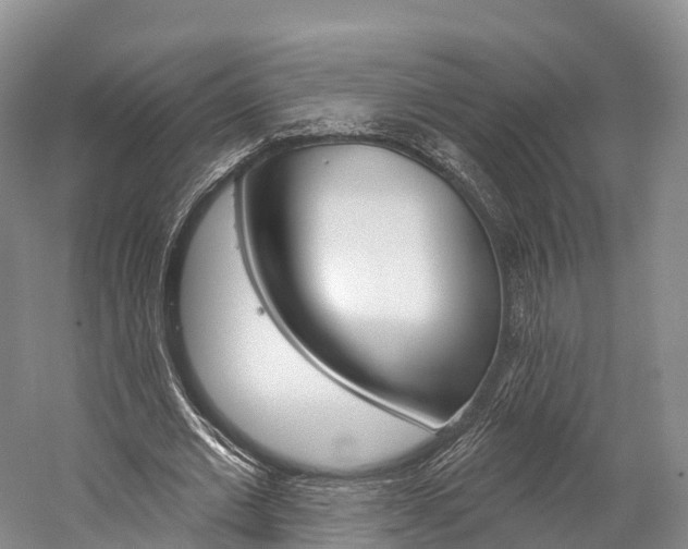X0000060270677200510281036
