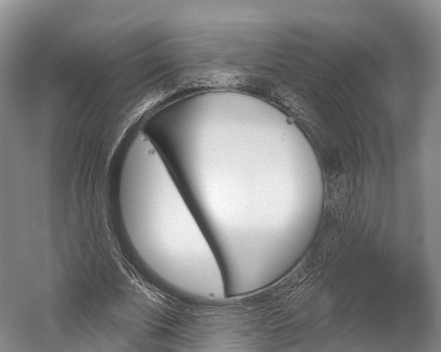 X0000060270679200510281036