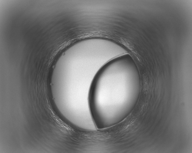 X0000060270681200510281036