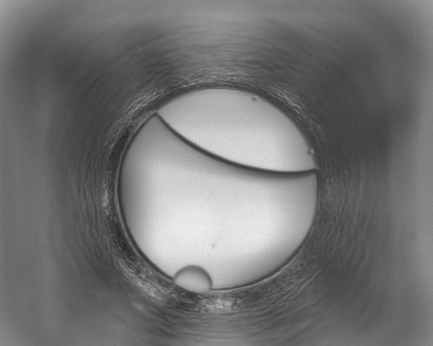 X0000060270687200510281035