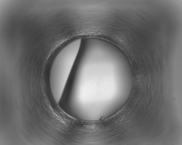 X0000060270688200510281035