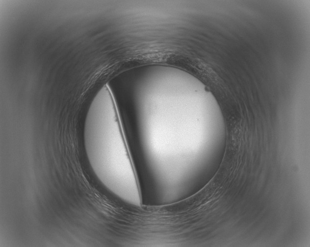 X0000060270693200510281035