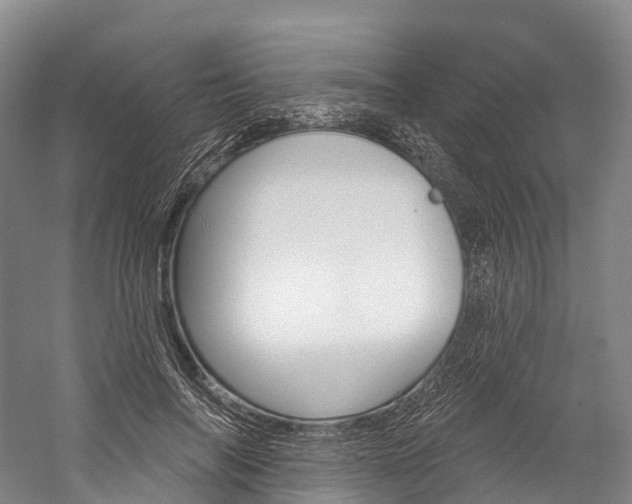 X0000060270694200510281035