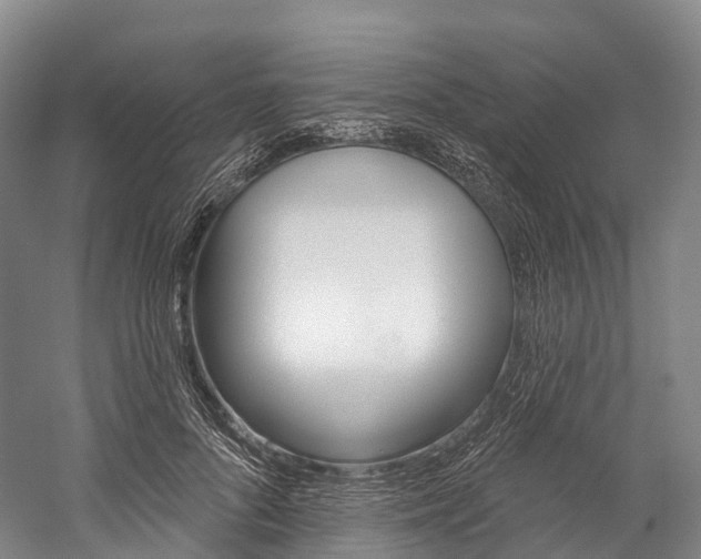 X0000060270696200510281035