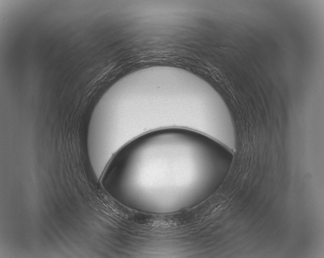 X0000060270697200510281035