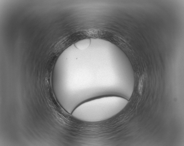 X0000060270702200510281035