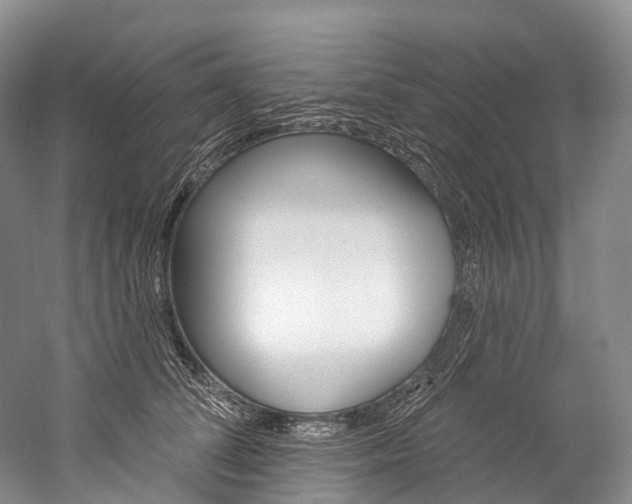 X0000060270708200510281035