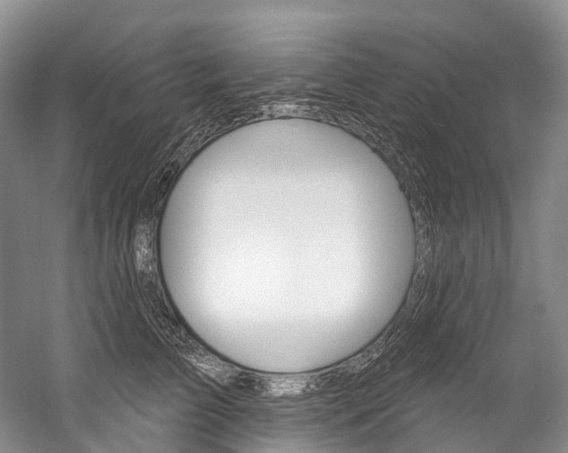 X0000060270709200510281035